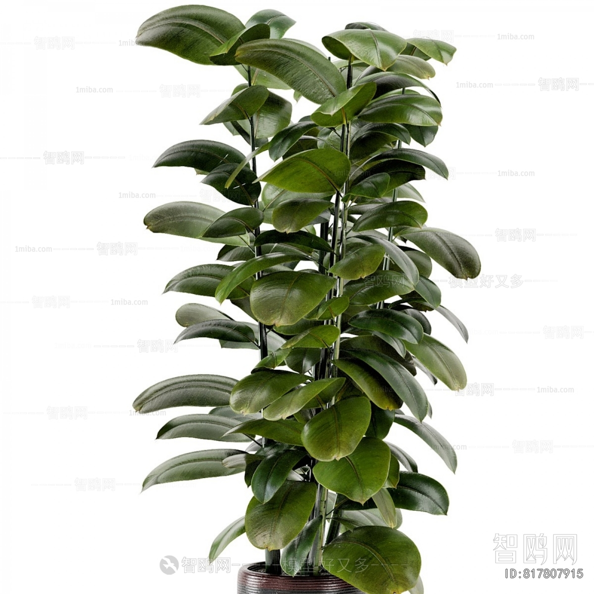 Modern Ground Green Plant Potted Plants