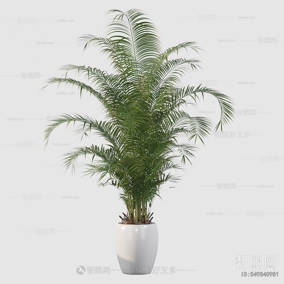 Modern Potted Green Plant