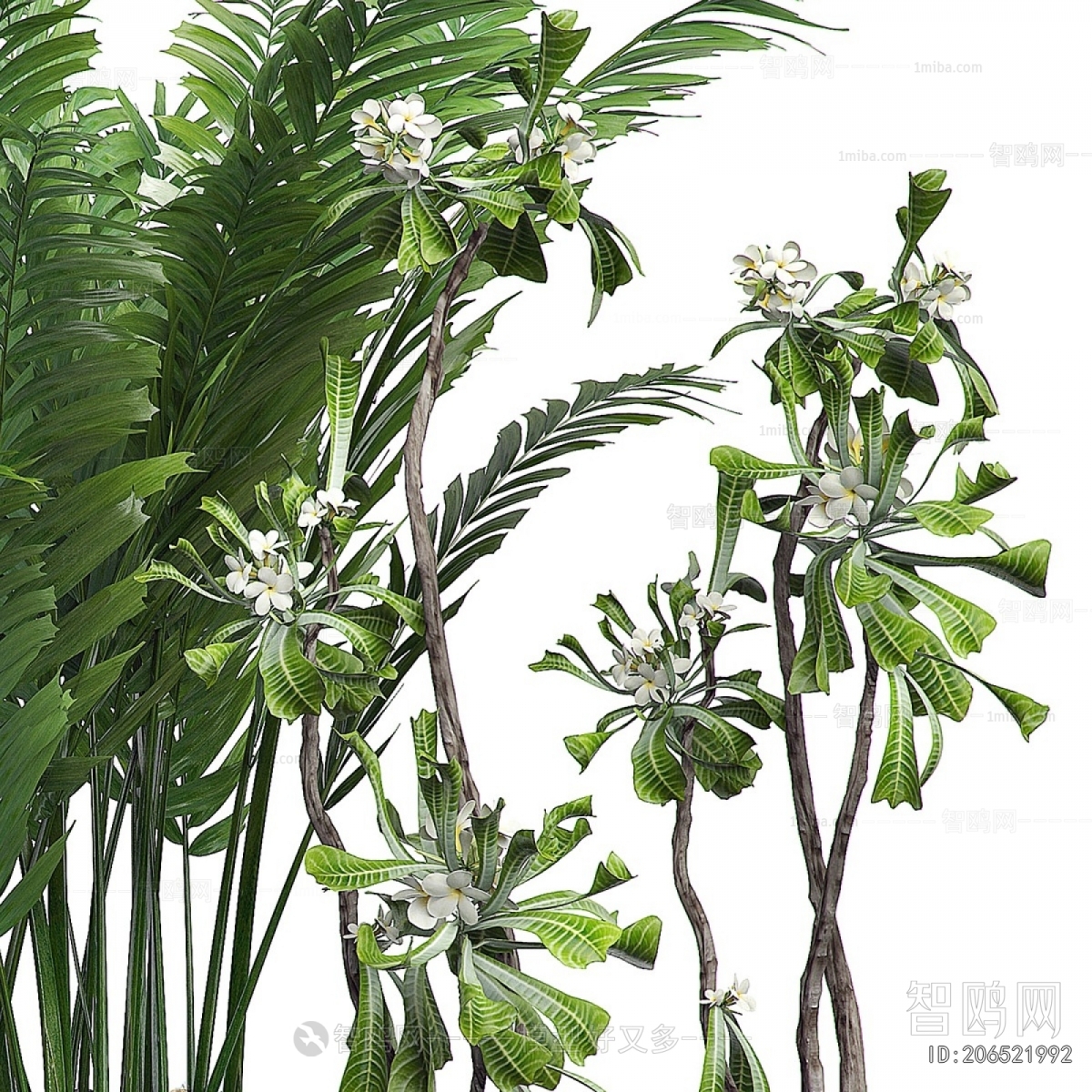 Modern Ground Green Plant Potted Plants