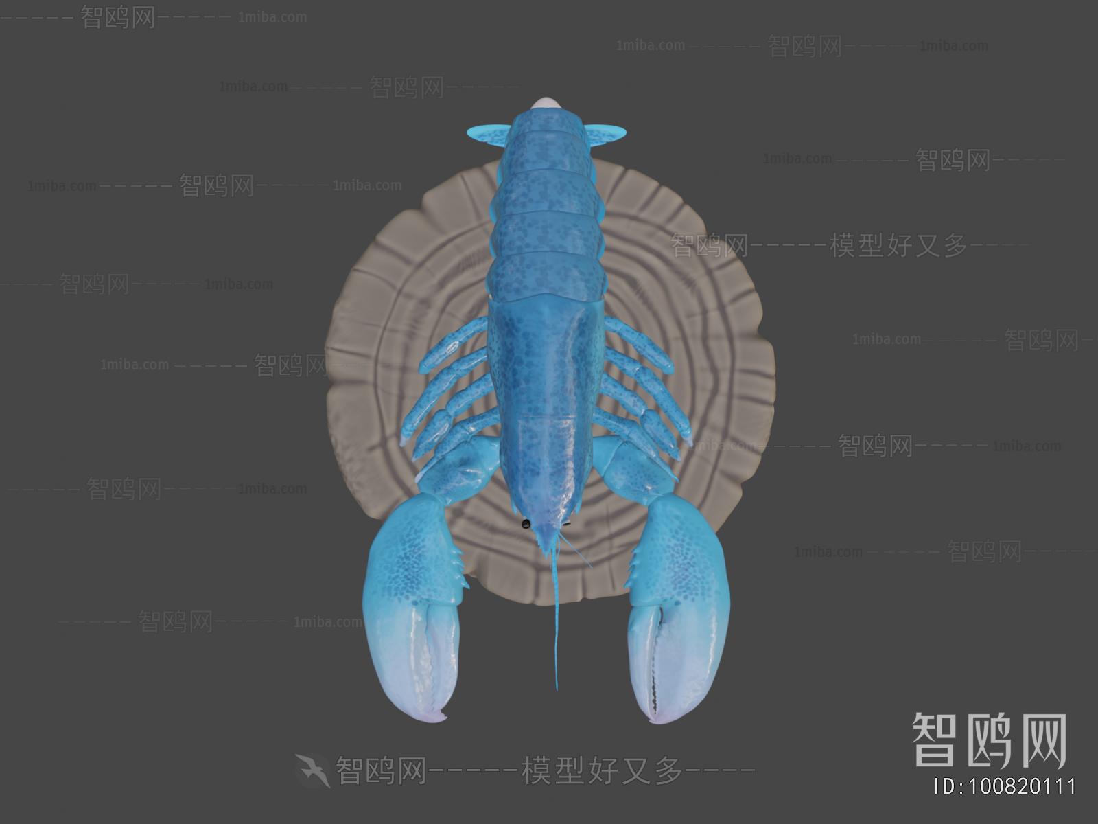 Modern Aquatic Animals