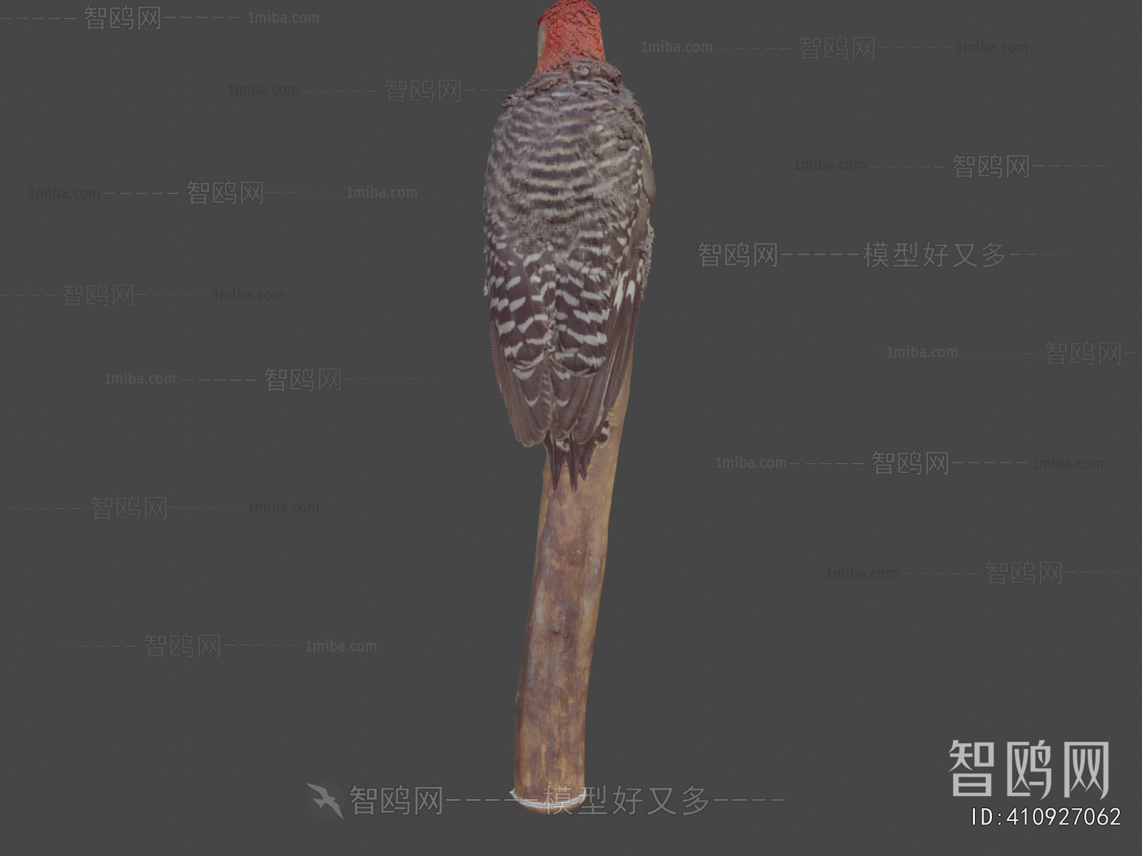 Modern Flying Animals