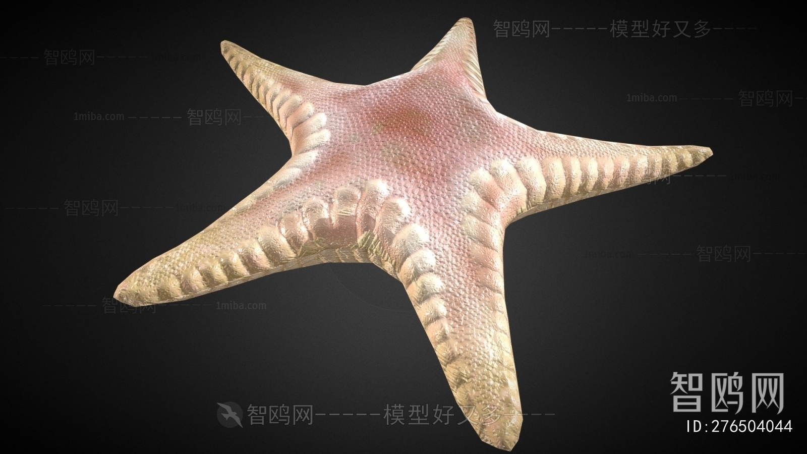 Modern Aquatic Animals