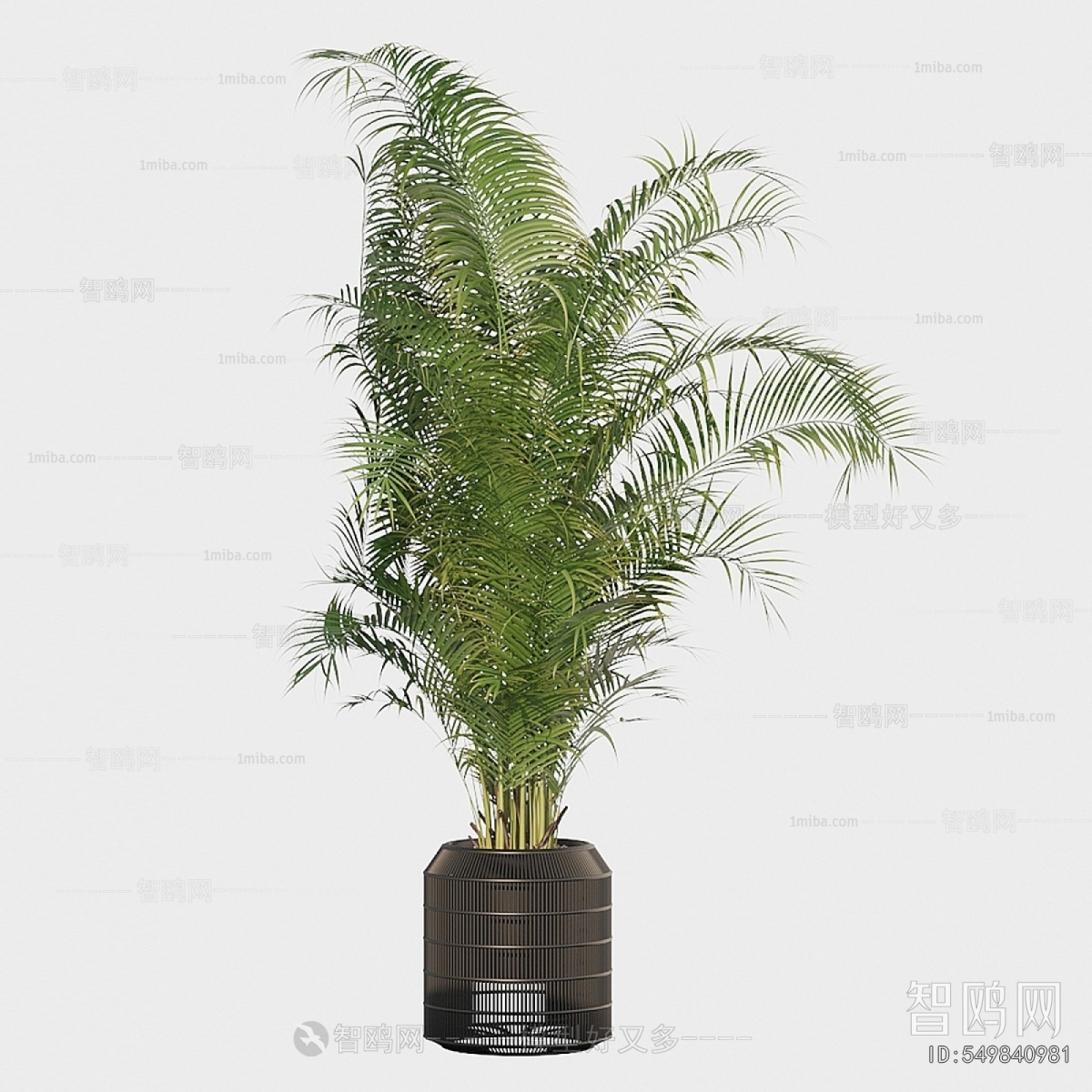 Modern Potted Green Plant