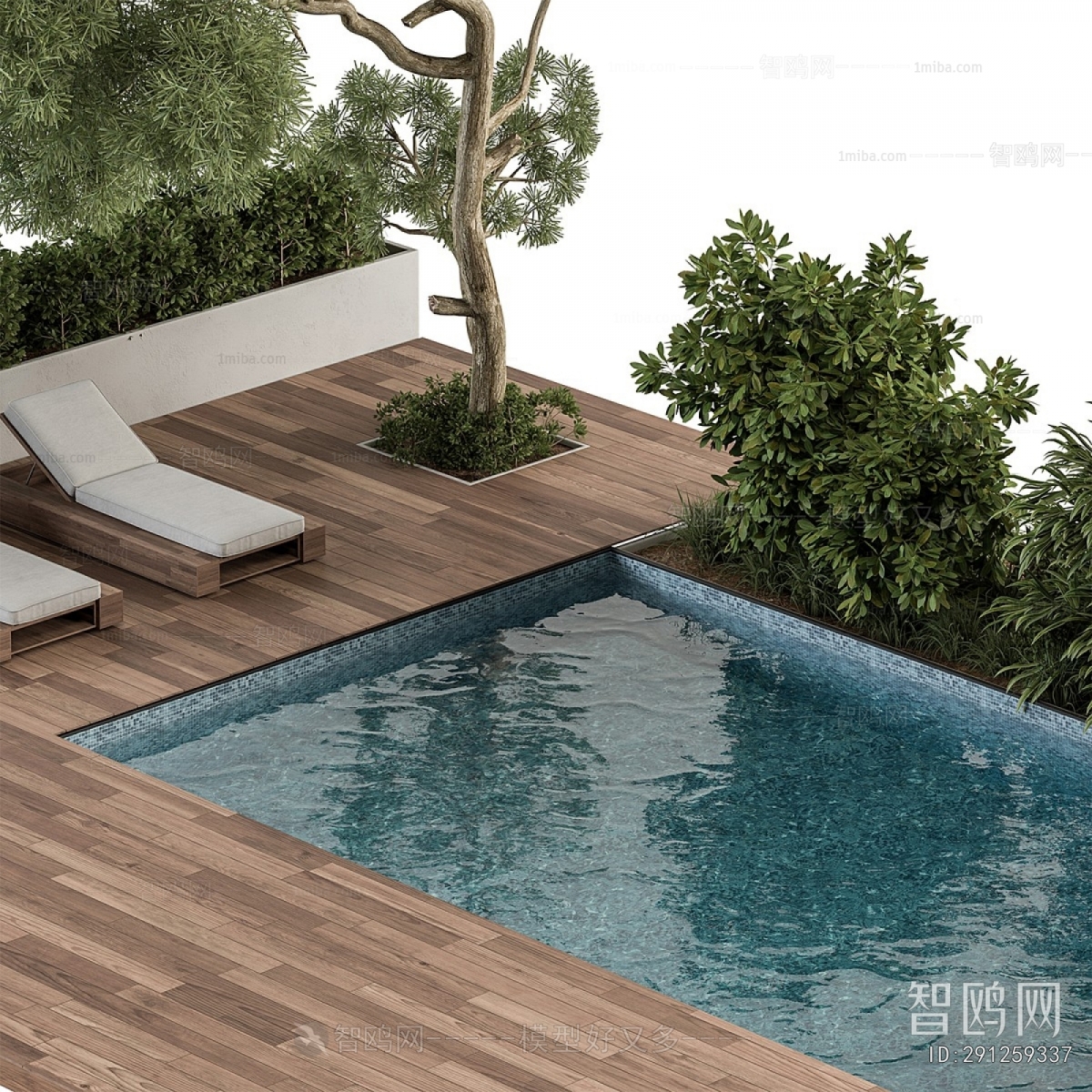 Modern Swimming Pool