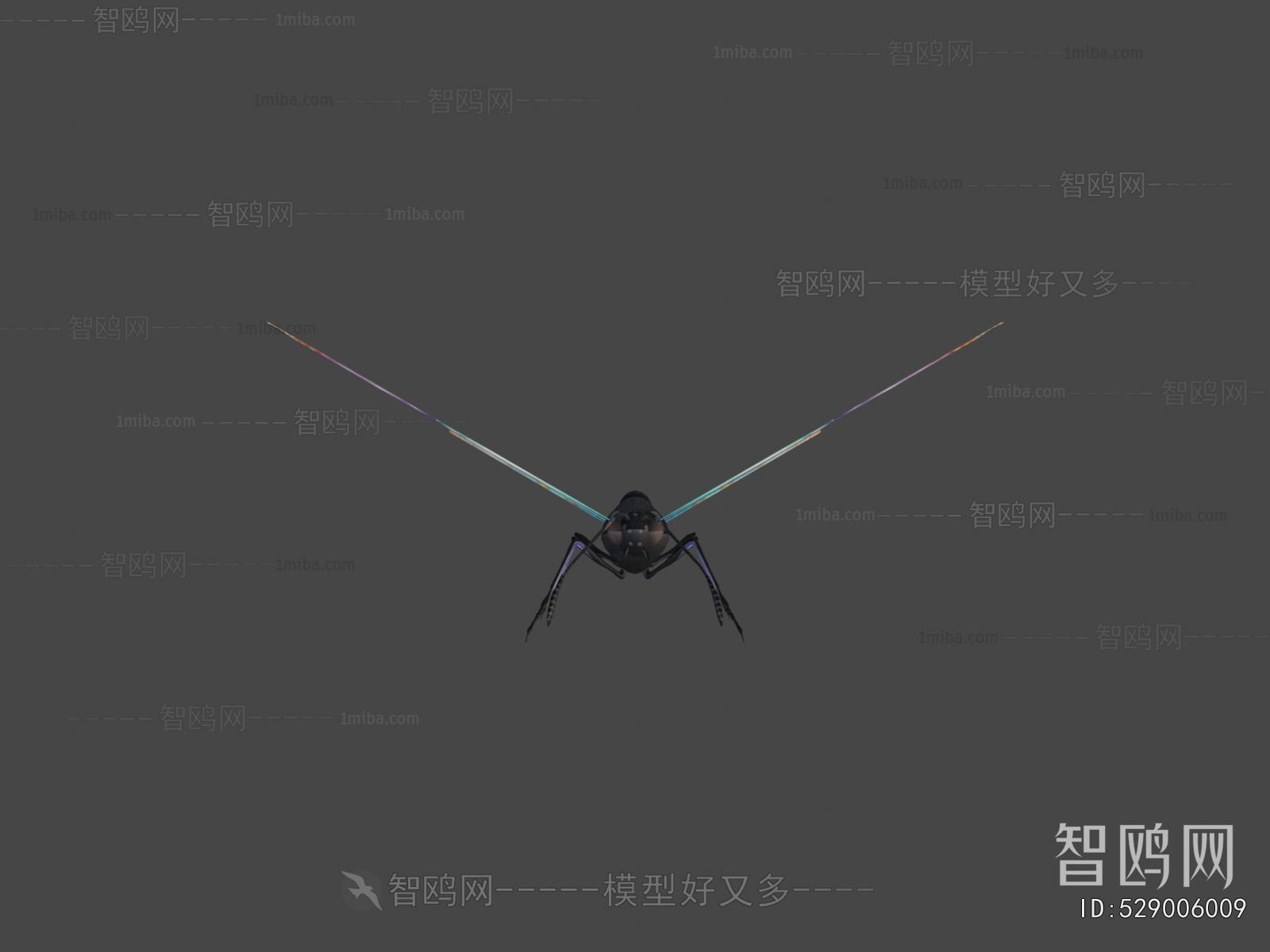 Modern Flying Animals