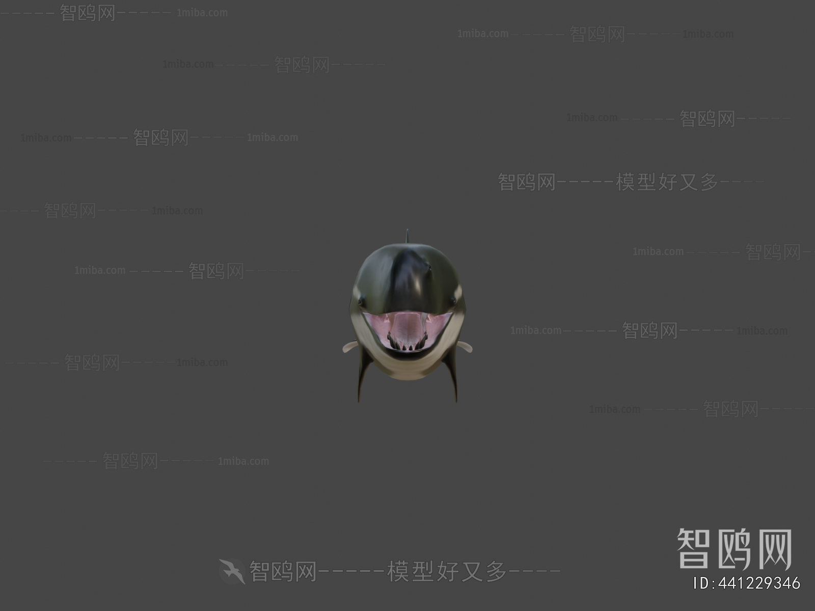 Modern Aquatic Animals