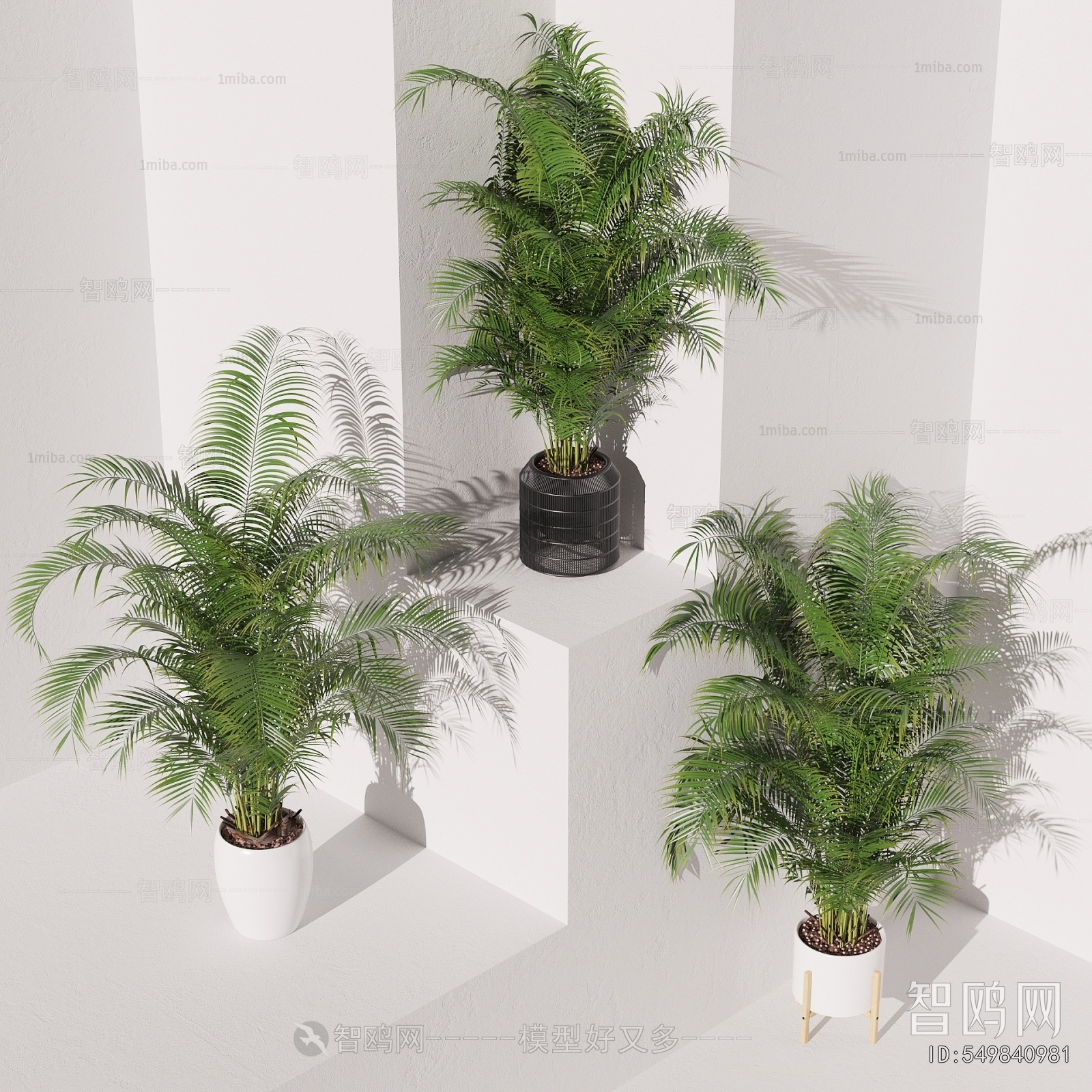 Modern Potted Green Plant