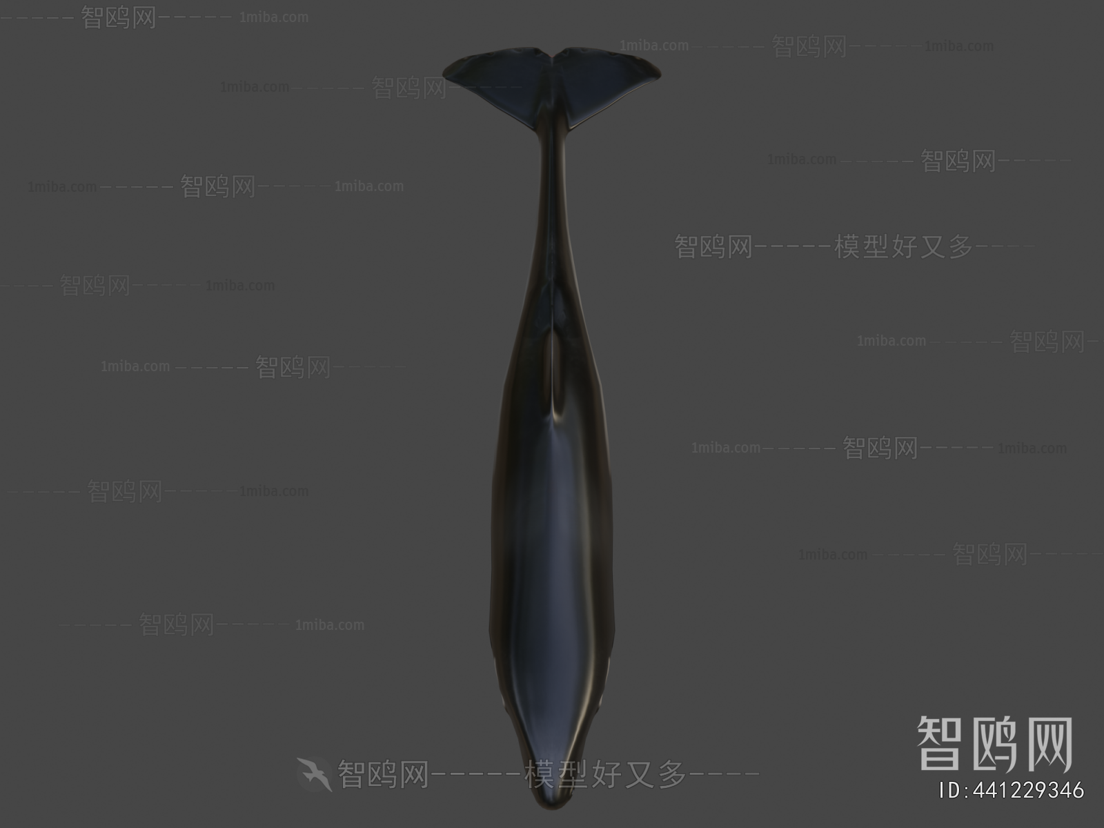 Modern Aquatic Animals