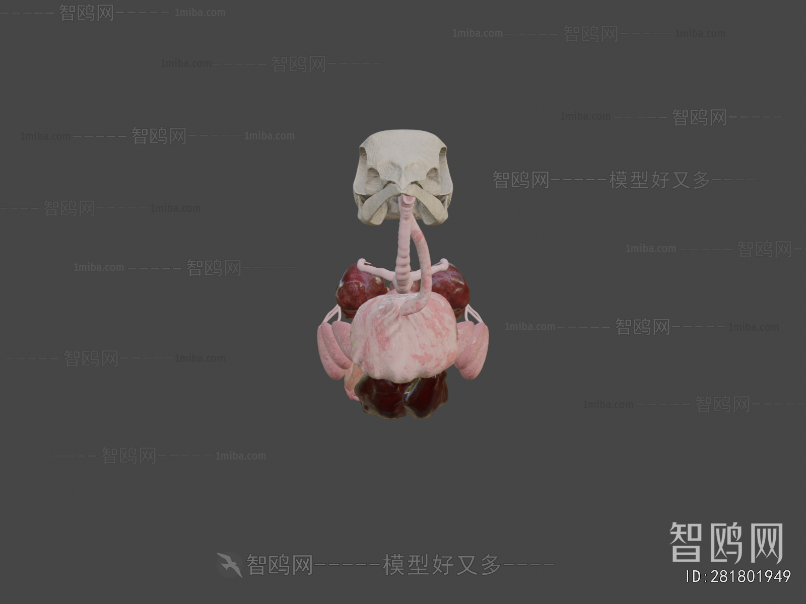 Modern Medical Equipment