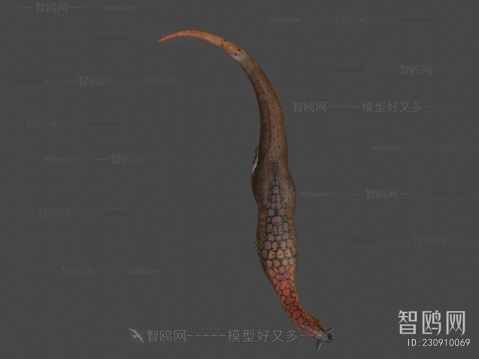 Modern Other Animals