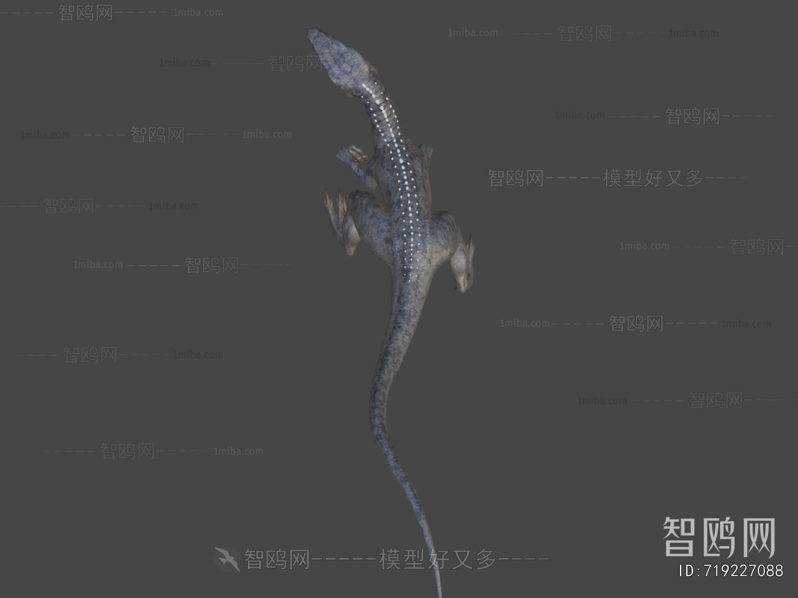 Modern Other Animals