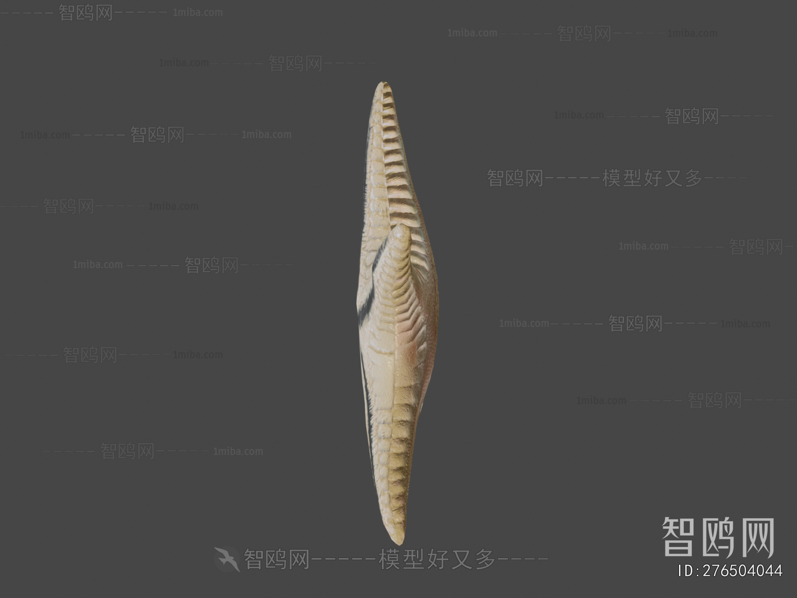 Modern Aquatic Animals