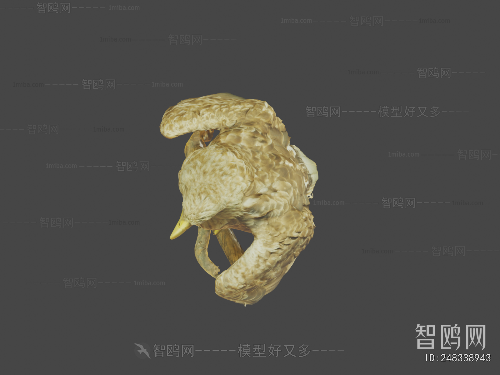 Modern Flying Animals