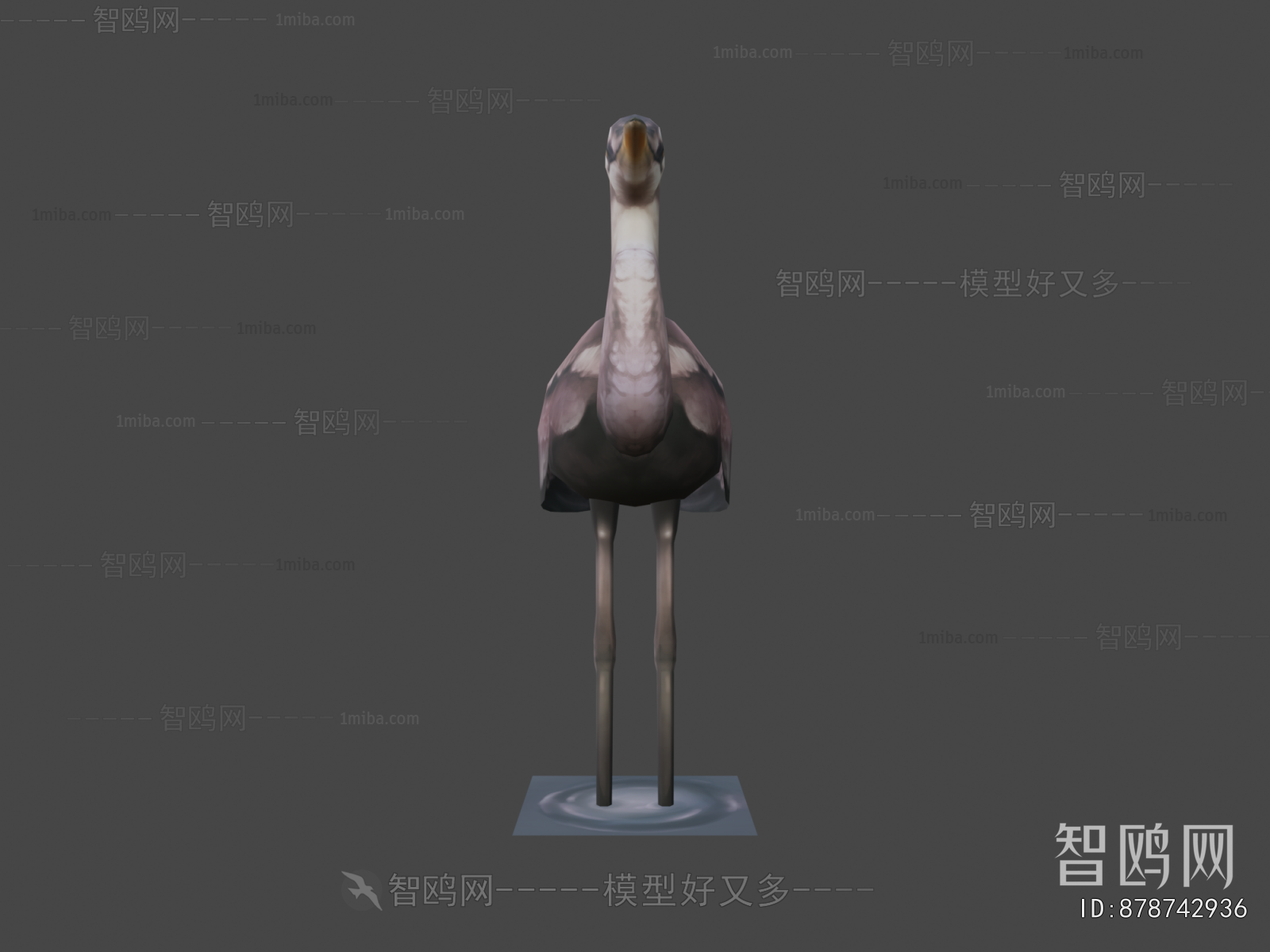 Modern Flying Animals