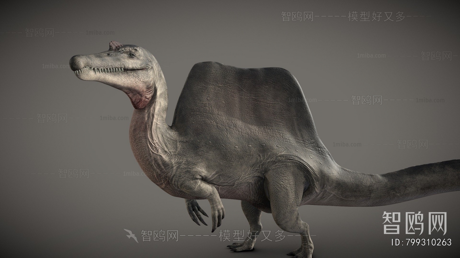 Modern Other Animals