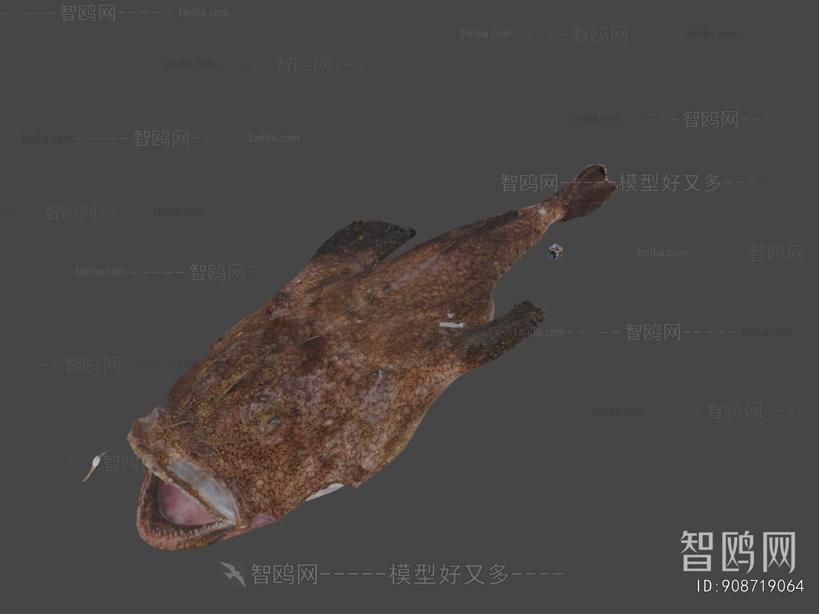 Modern Aquatic Animals