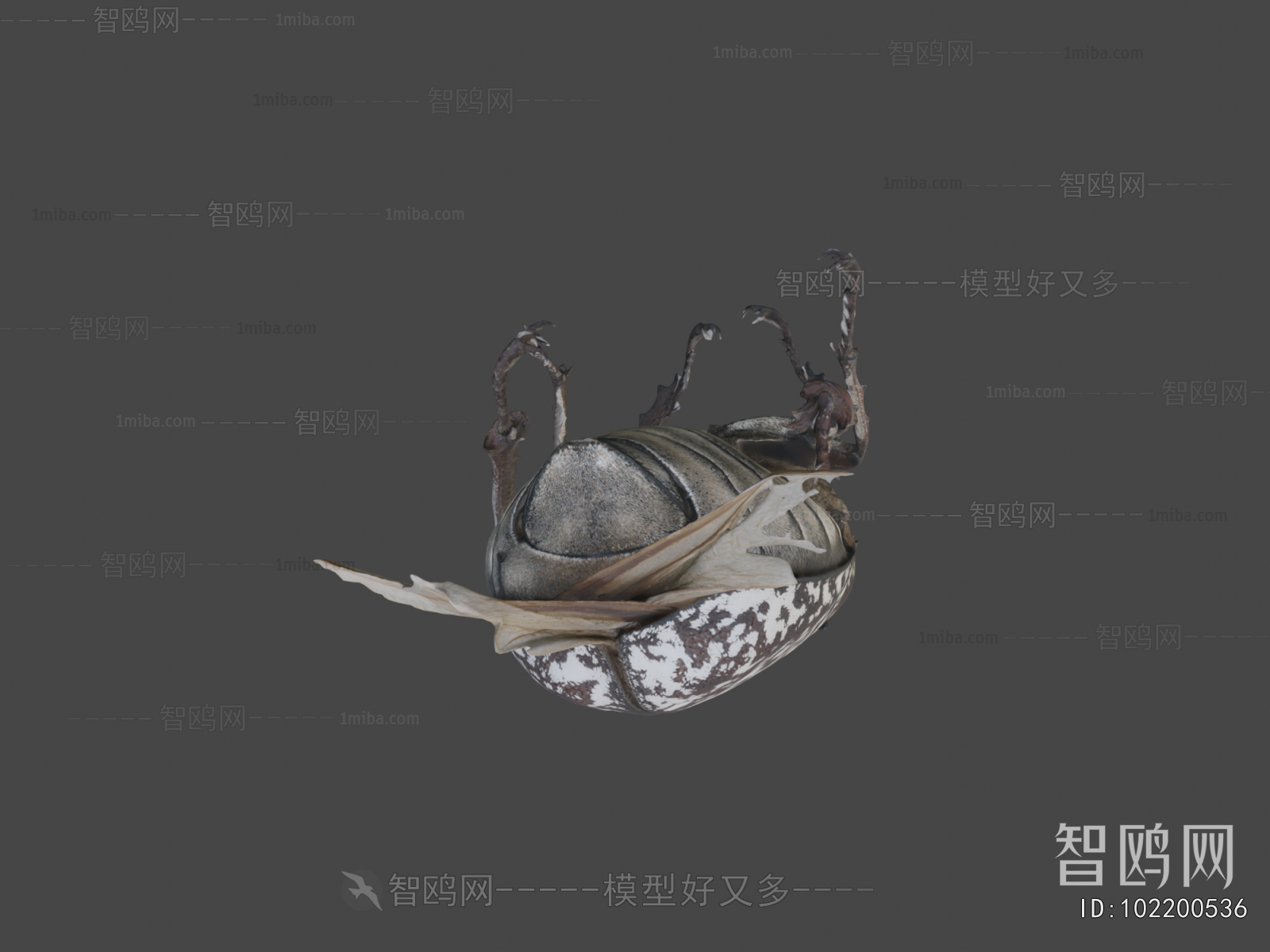 Modern Other Animals