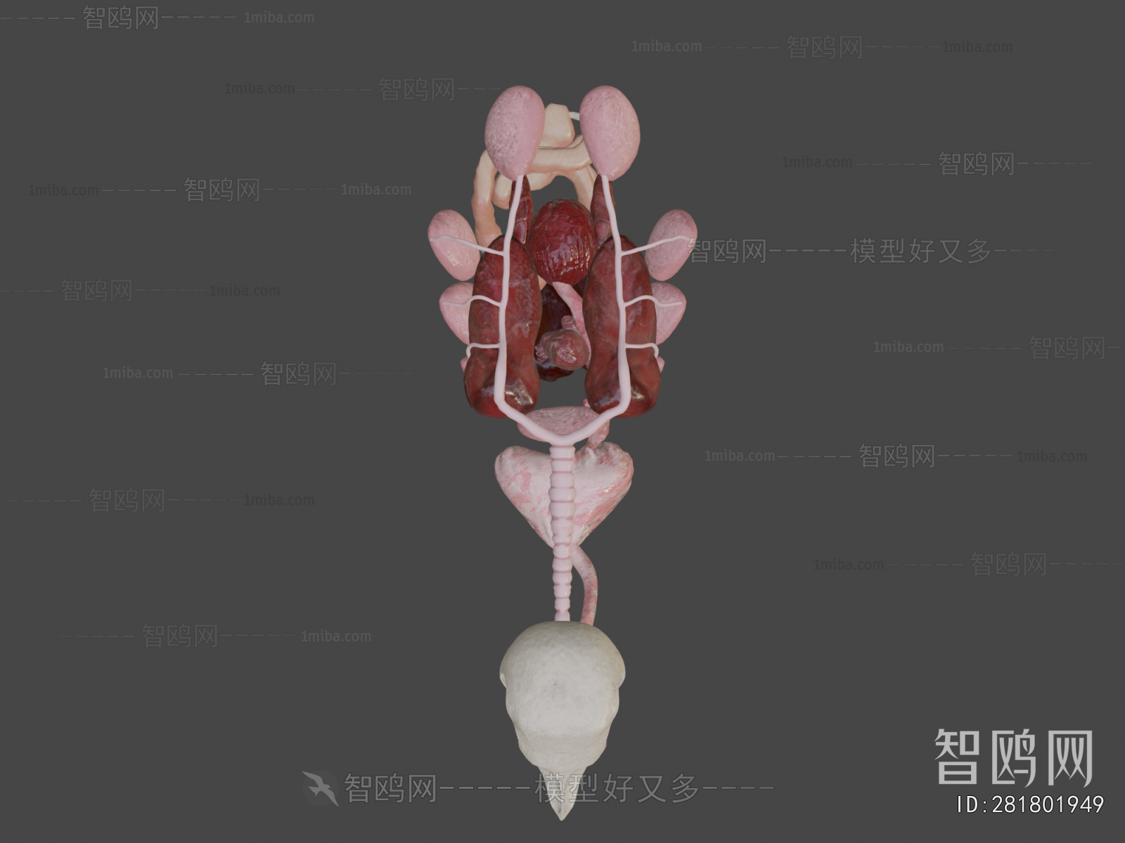 Modern Medical Equipment