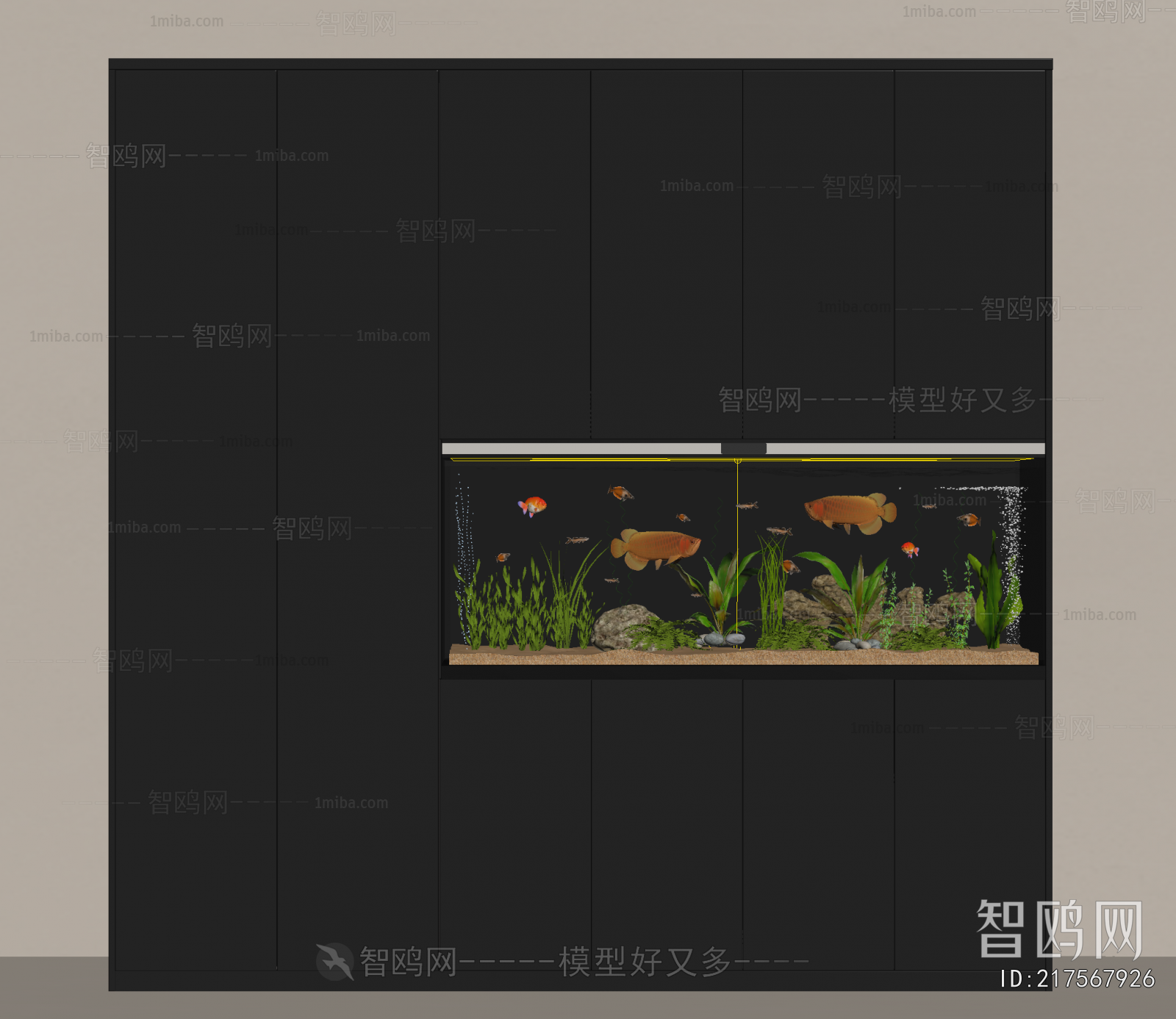 Modern Fish Tank