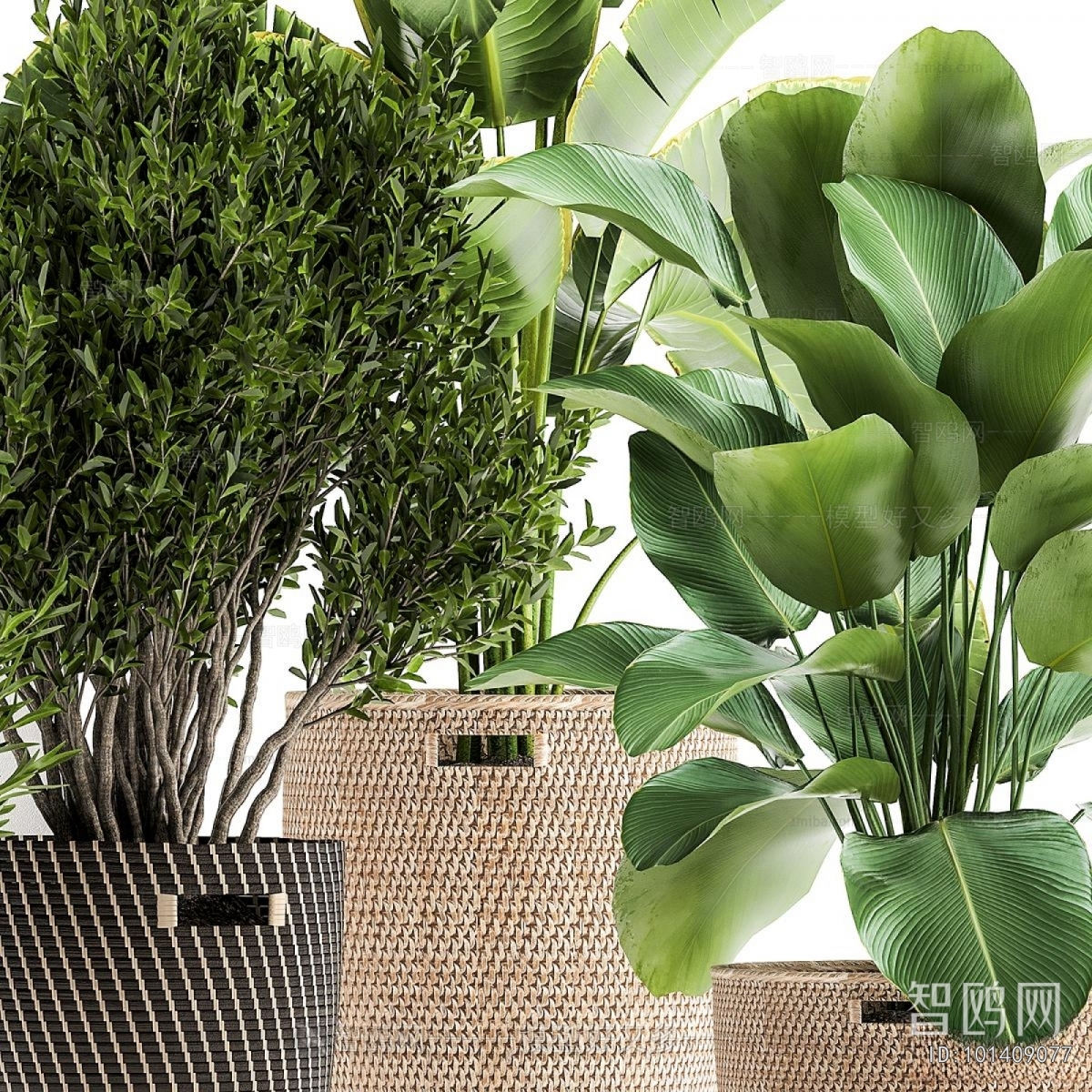 Modern Ground Green Plant Potted Plants