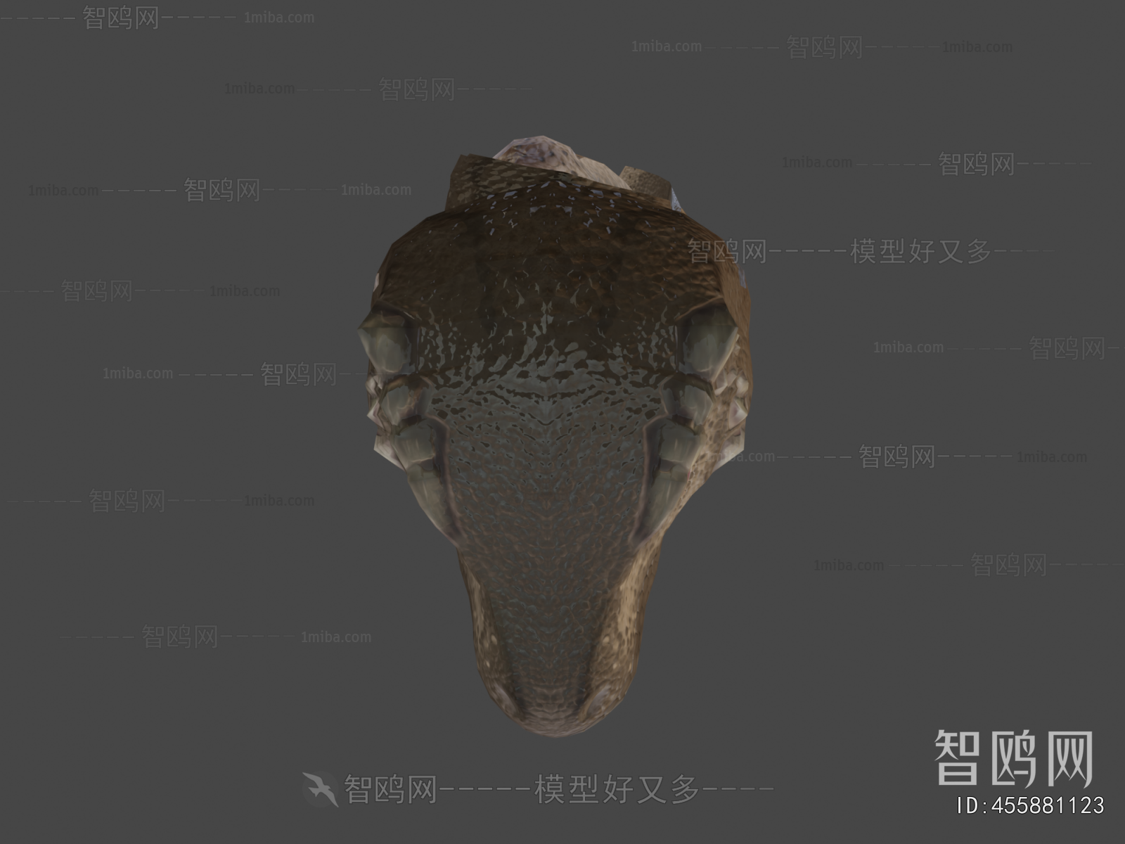 Modern Other Animals