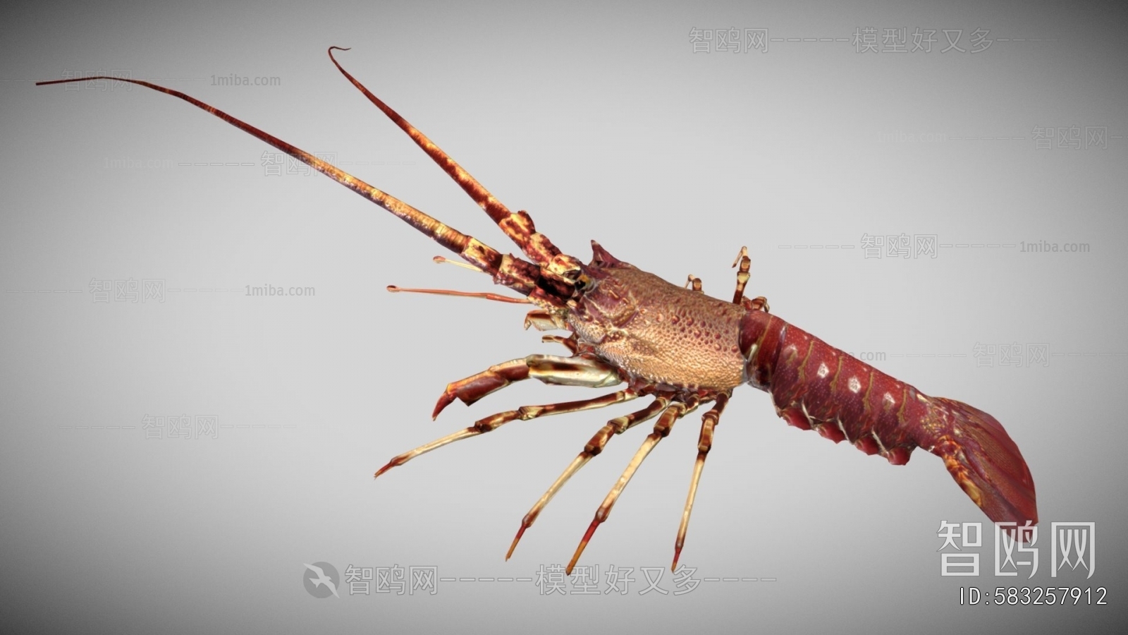 Modern Aquatic Product