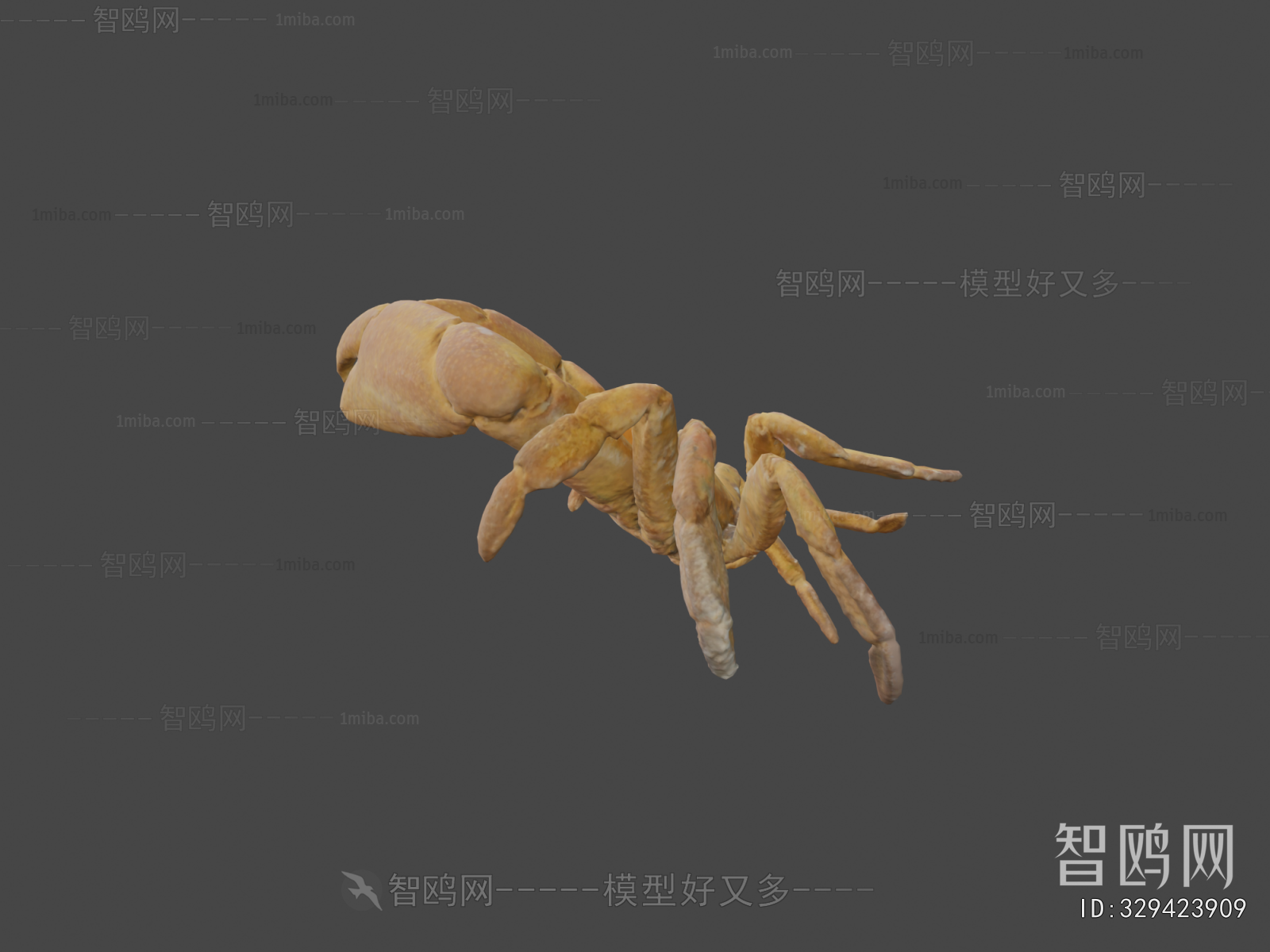 Modern Aquatic Animals