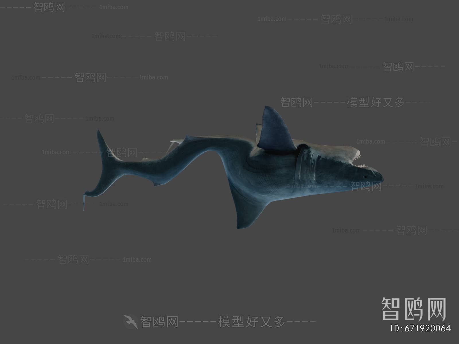 Modern Aquatic Animals