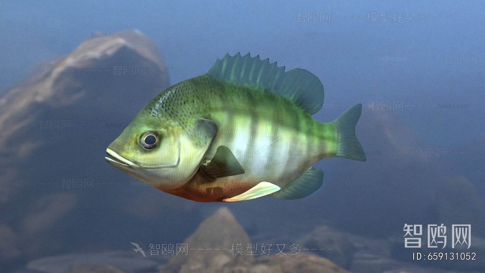 Modern Aquatic Animals