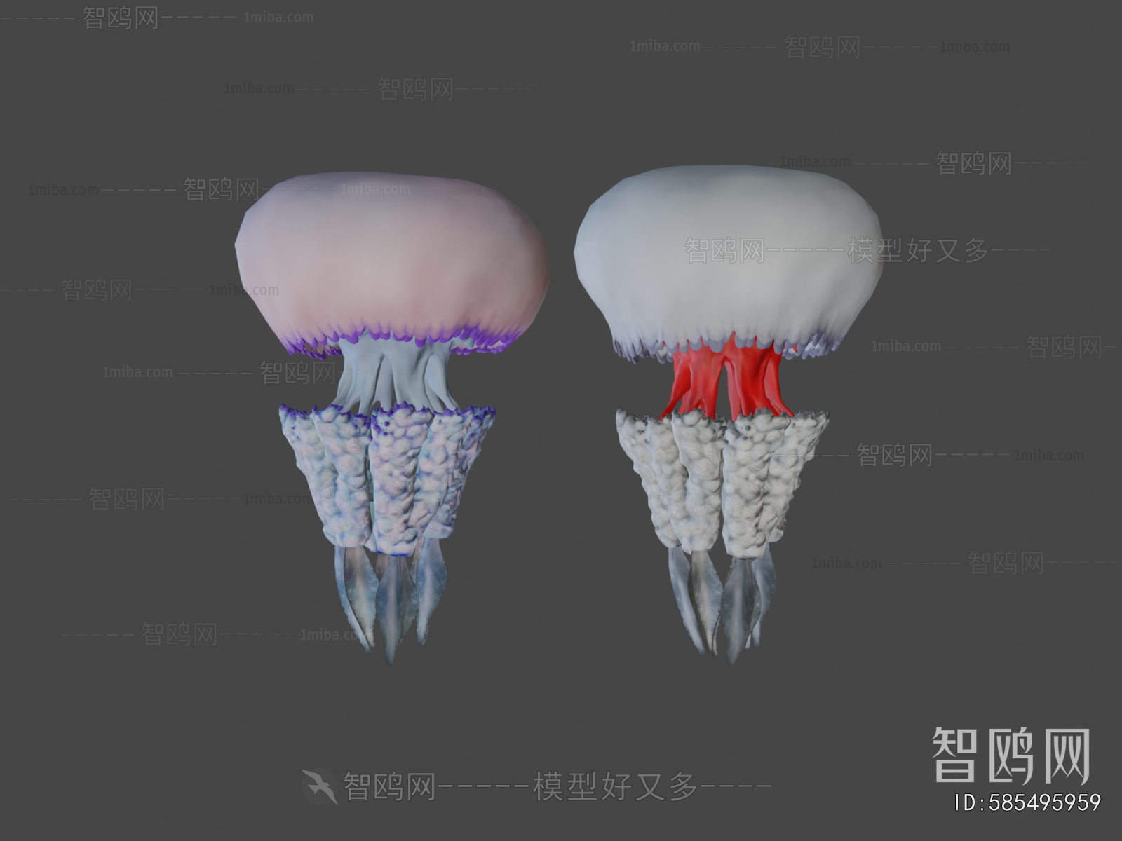 Modern Aquatic Animals