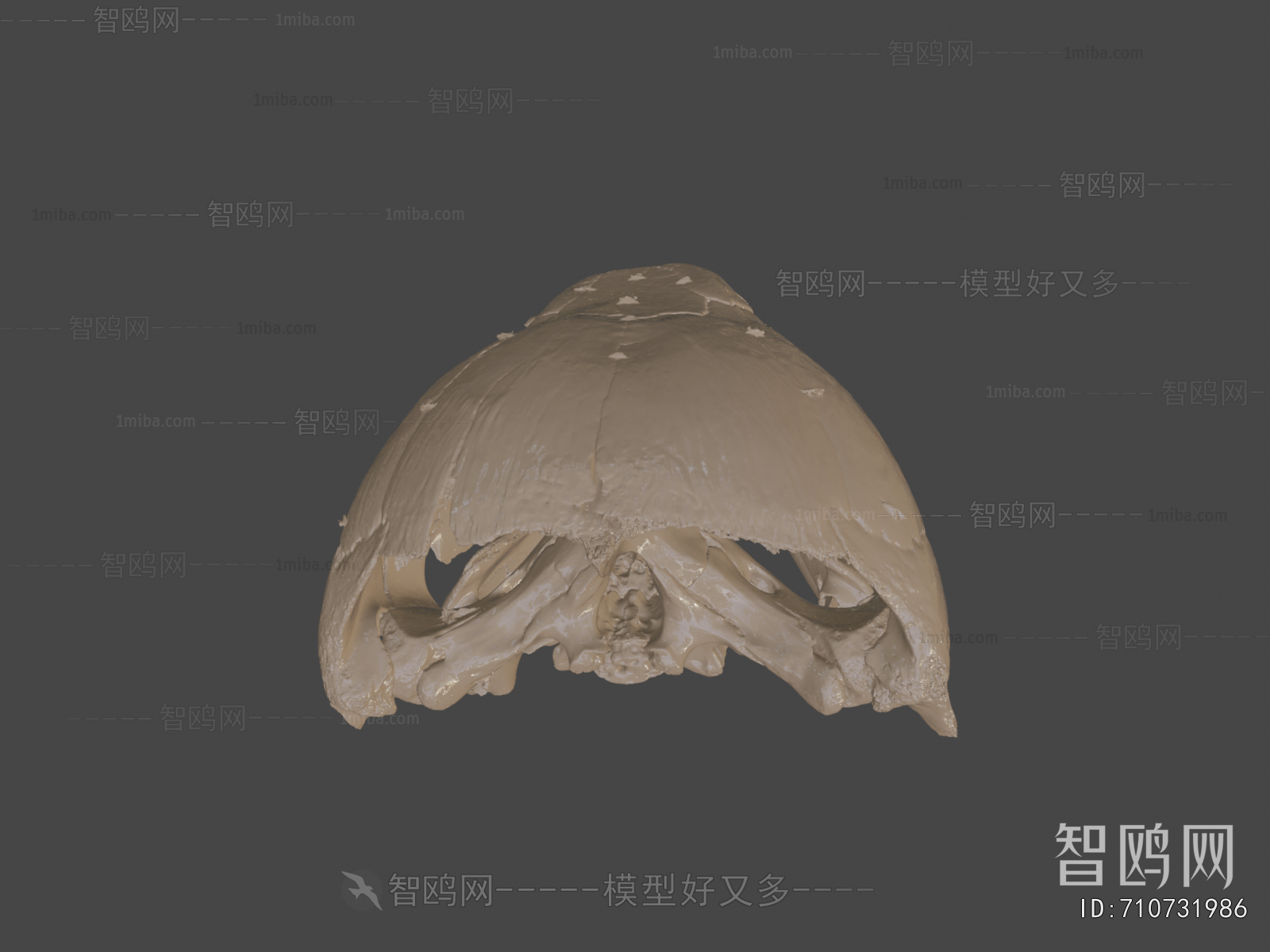 Modern Medical Equipment