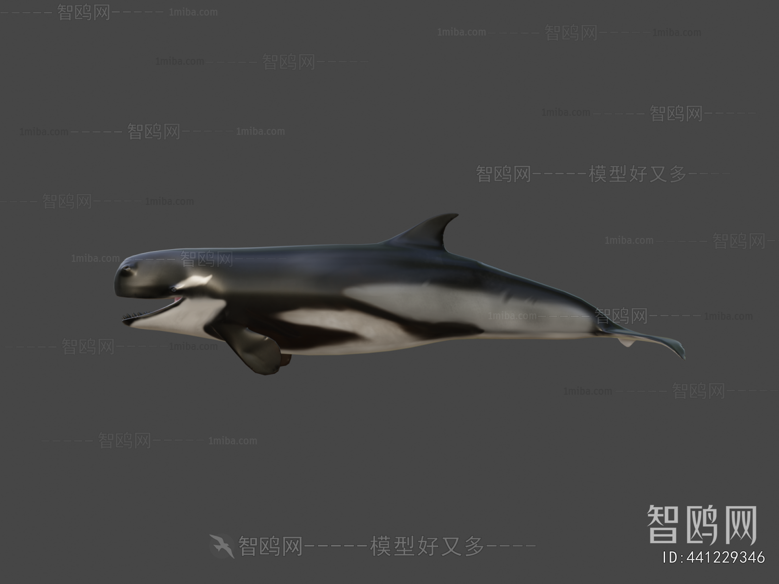 Modern Aquatic Animals