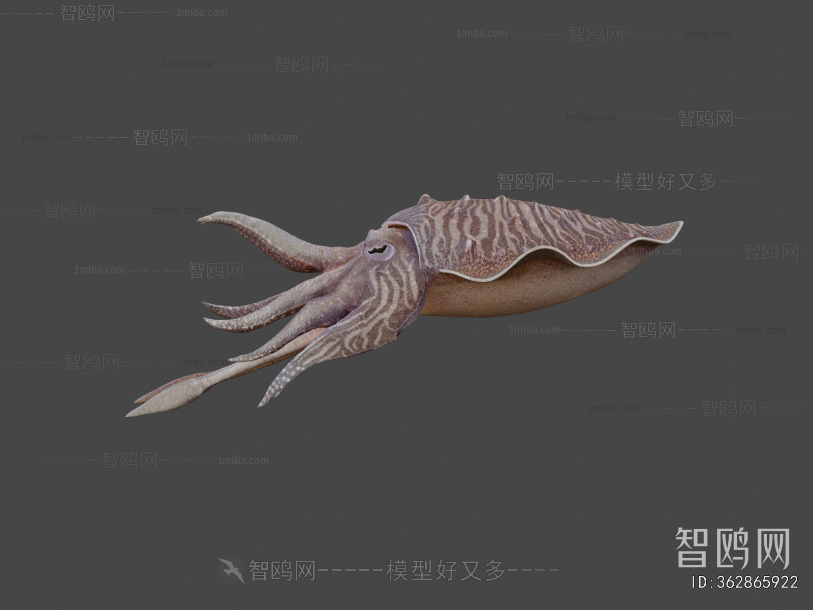 Modern Aquatic Animals