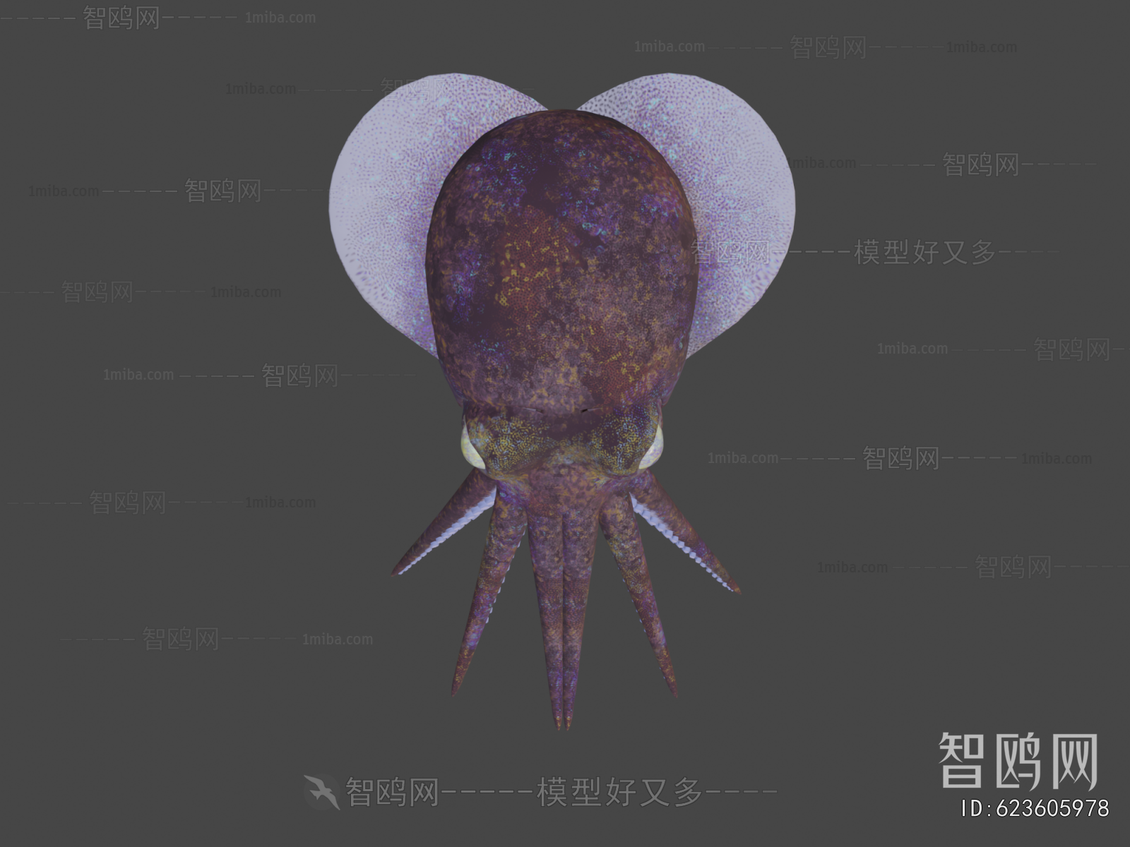 Modern Aquatic Animals