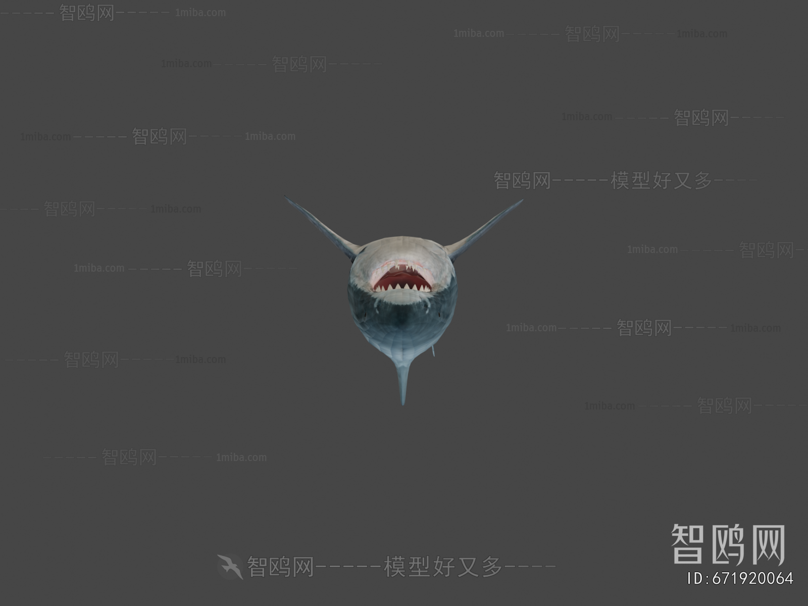 Modern Aquatic Animals