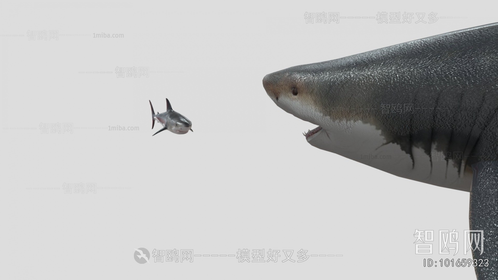 Modern Aquatic Animals