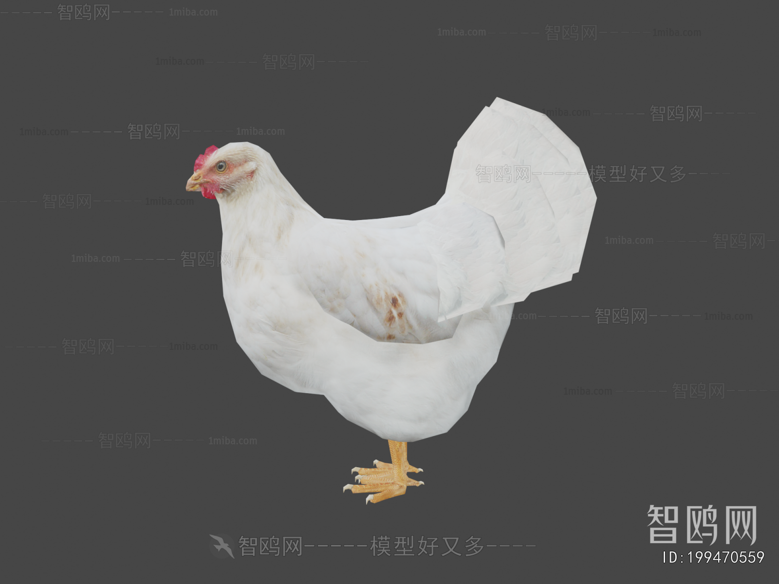 Modern Poultry Animal