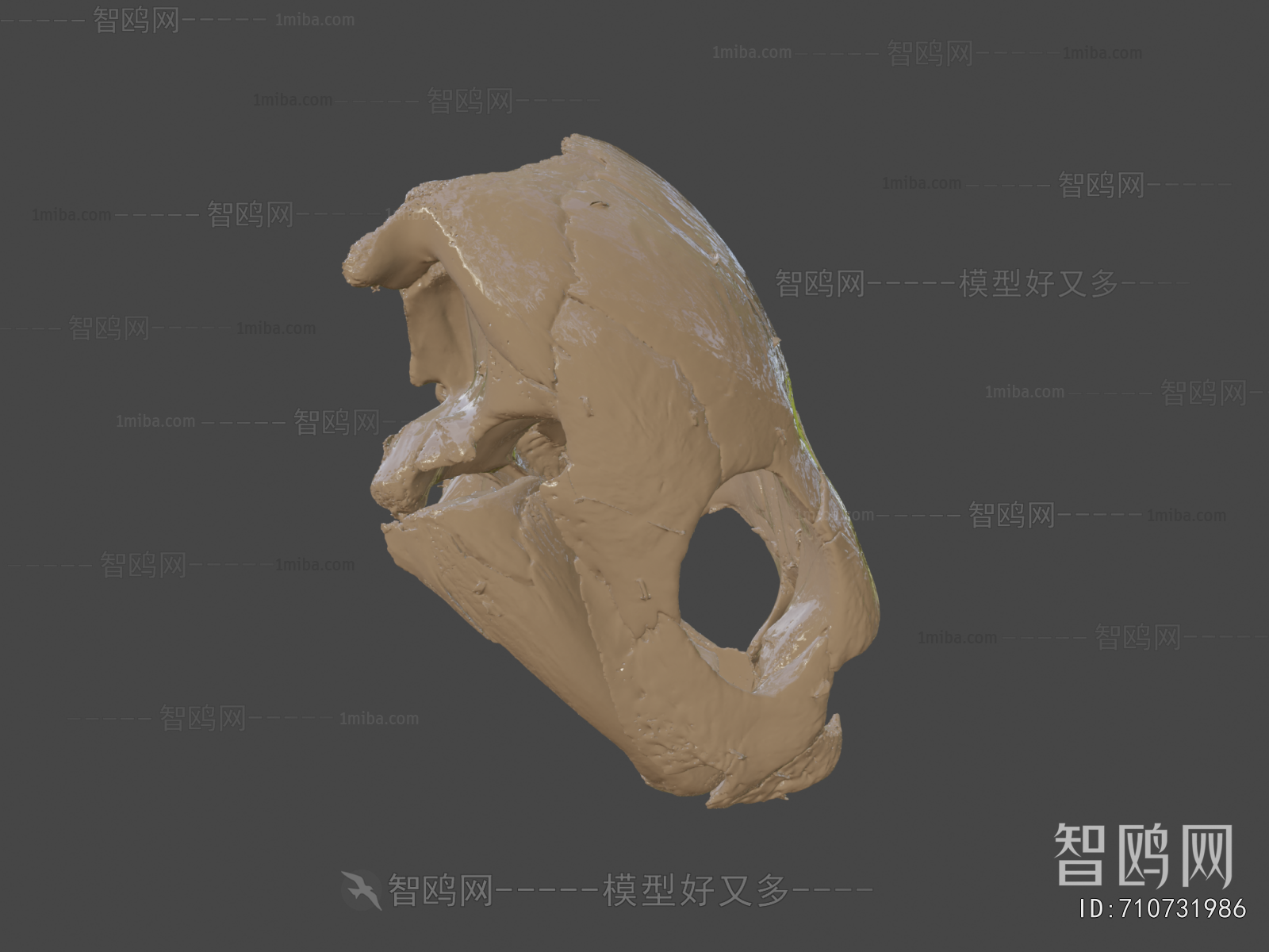 Modern Medical Equipment