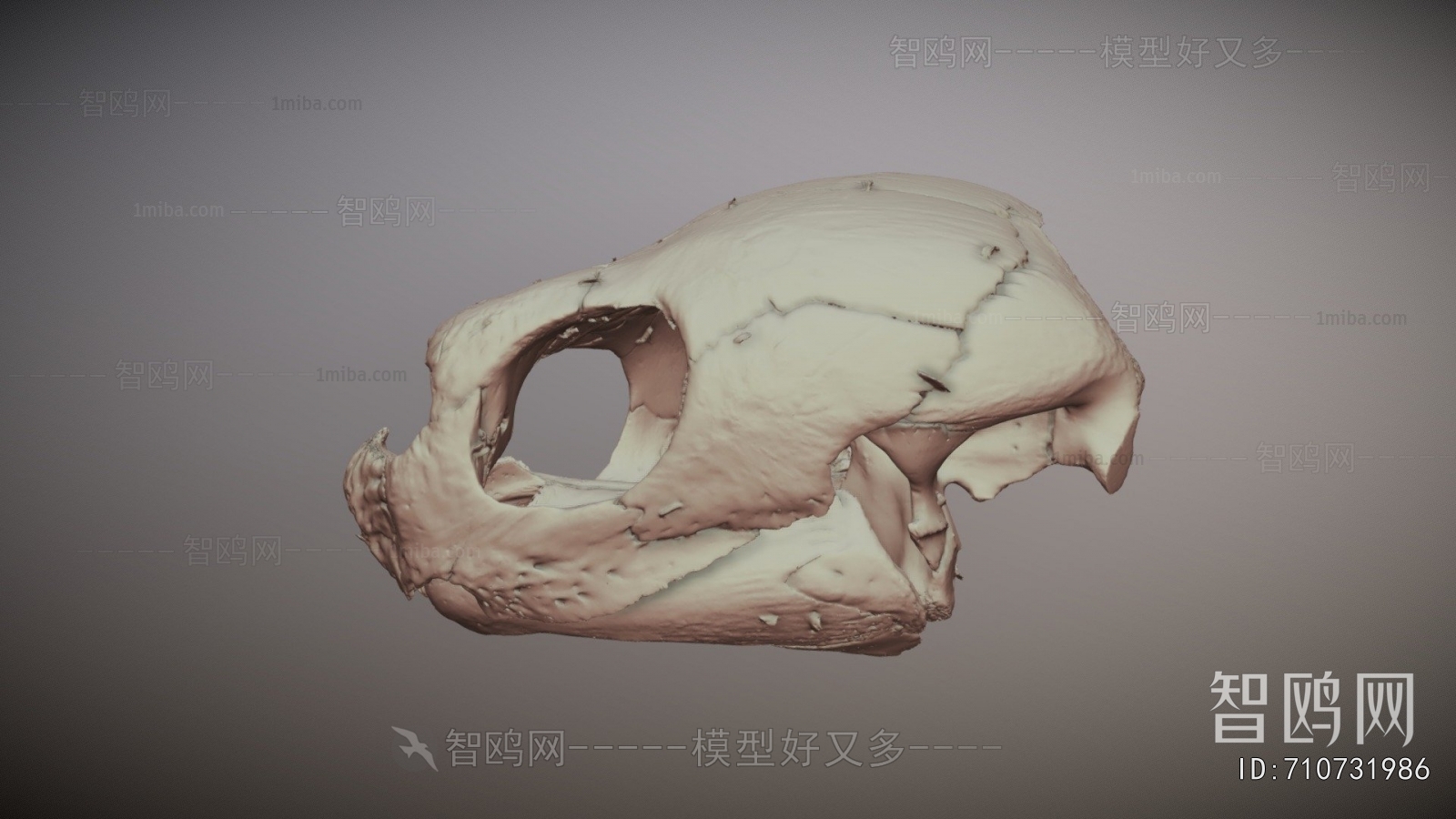 Modern Medical Equipment