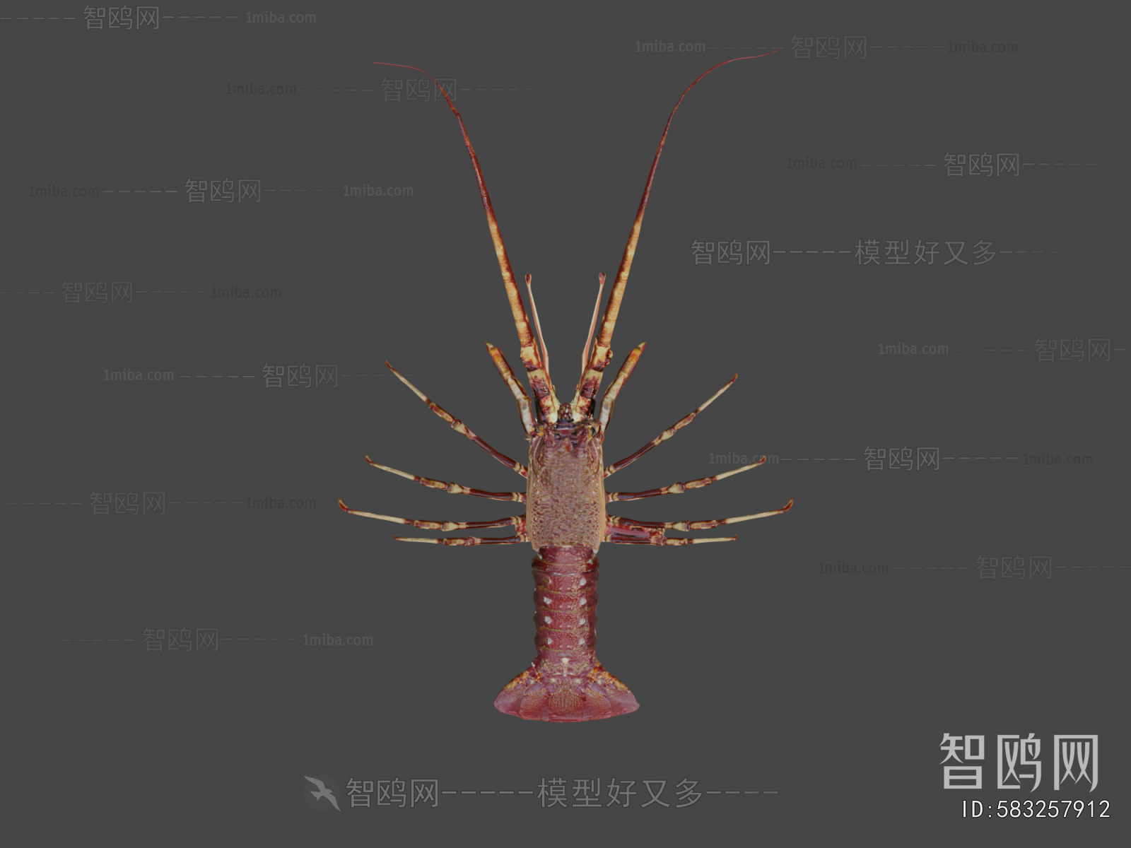 Modern Aquatic Product