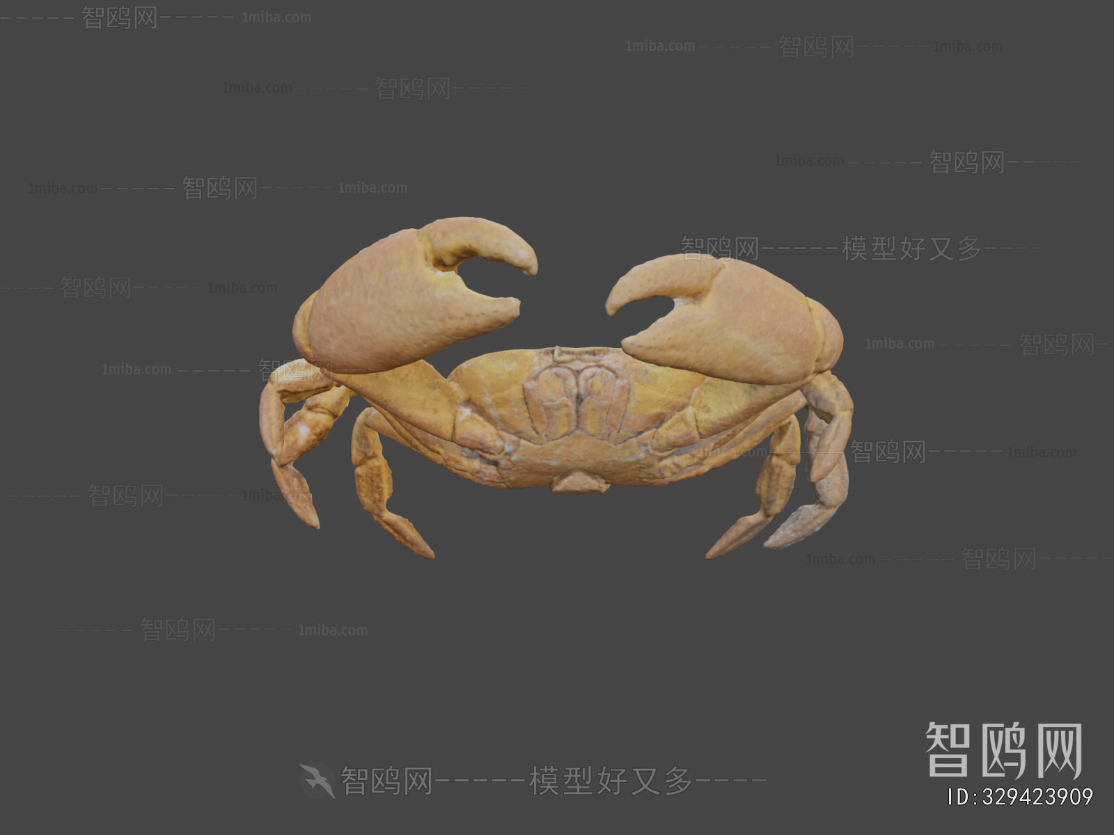 Modern Aquatic Animals