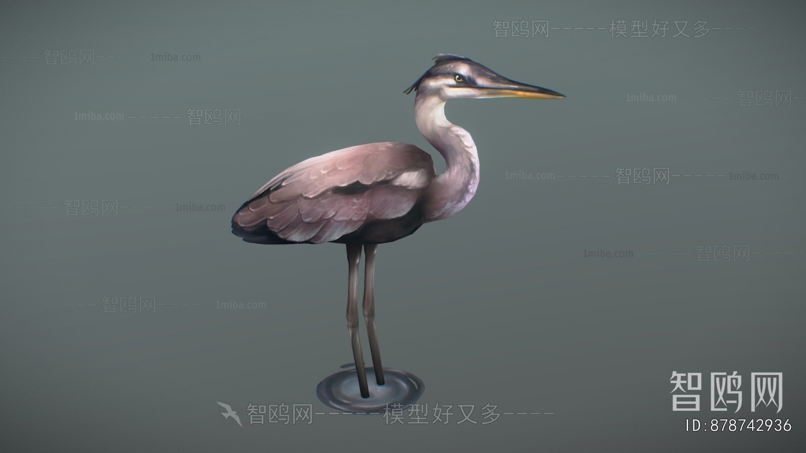 Modern Flying Animals