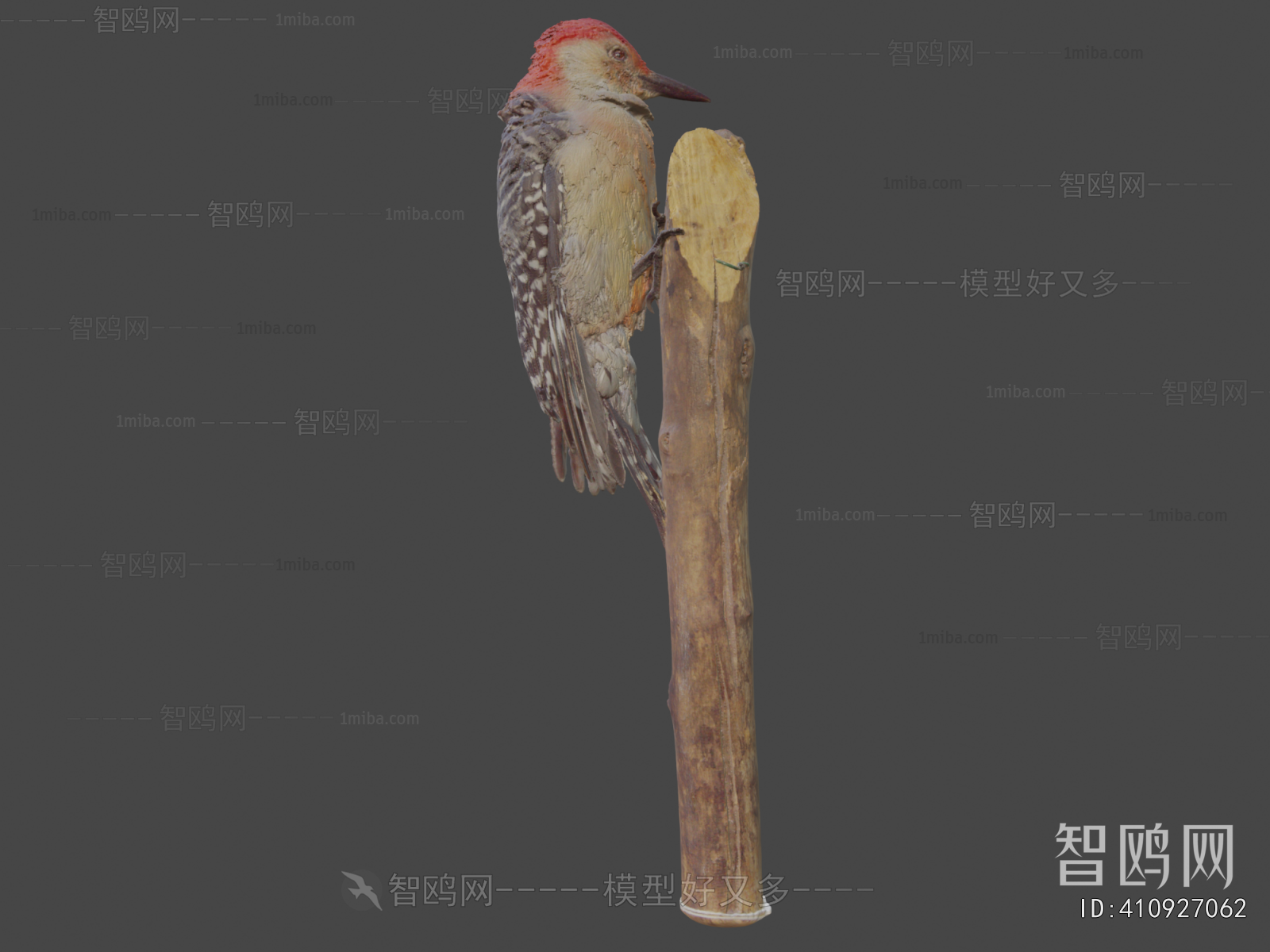 Modern Flying Animals