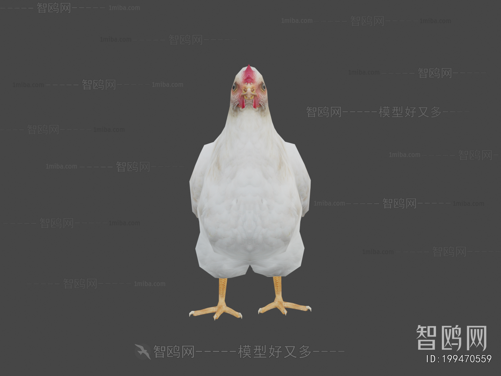 Modern Poultry Animal