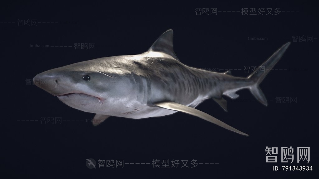 Modern Aquatic Product