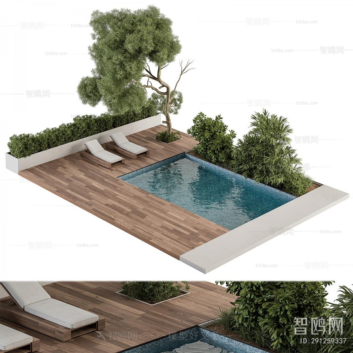 Modern Swimming Pool