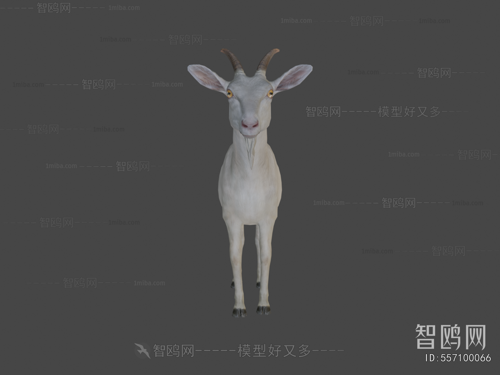 Modern Poultry Animal