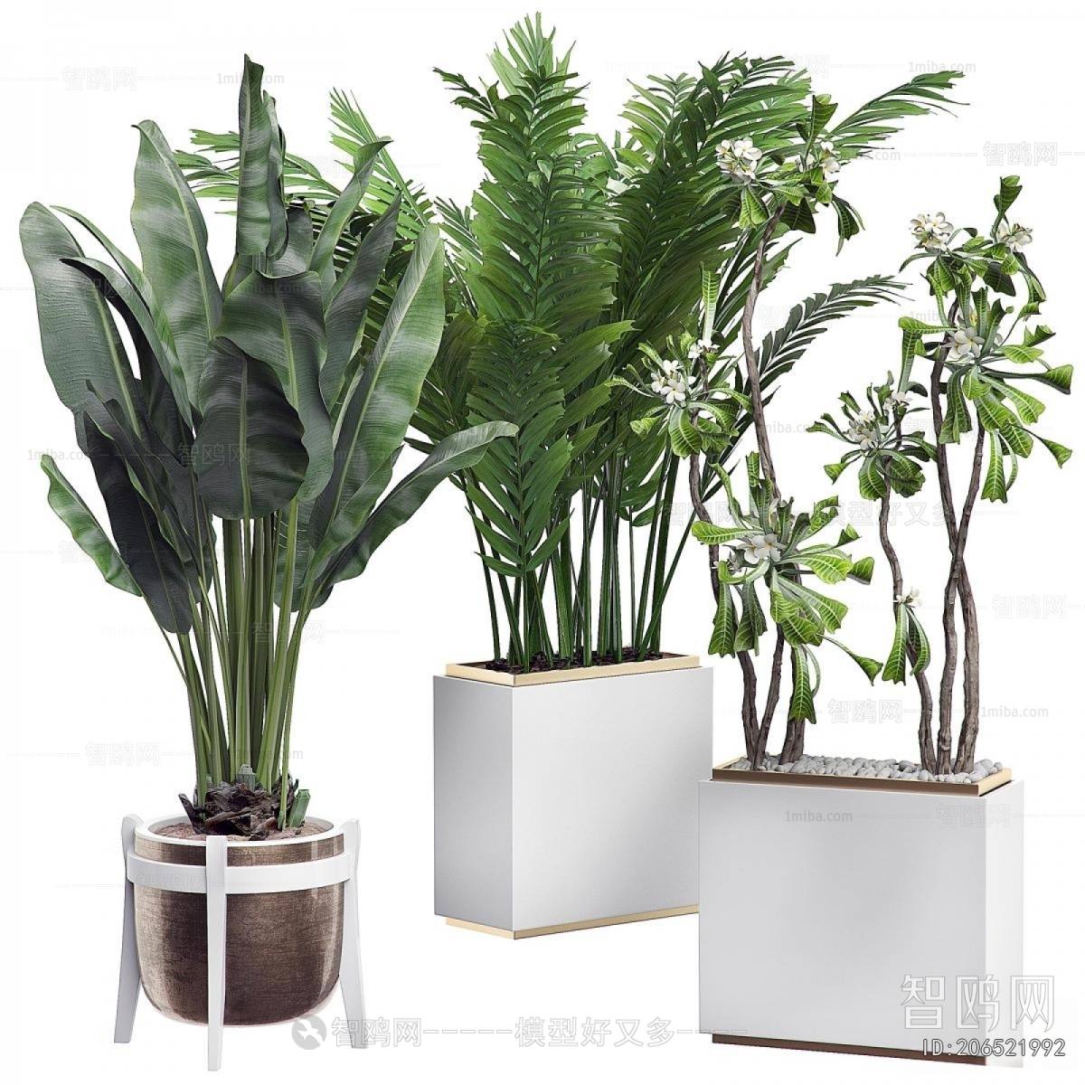 Modern Ground Green Plant Potted Plants