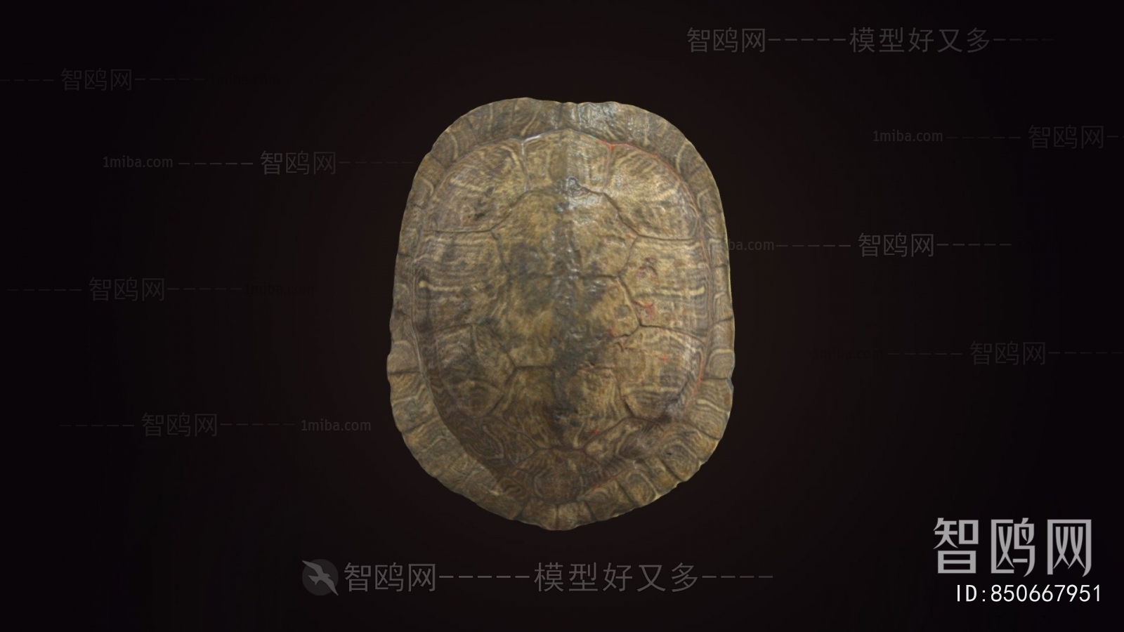 Modern Aquatic Animals