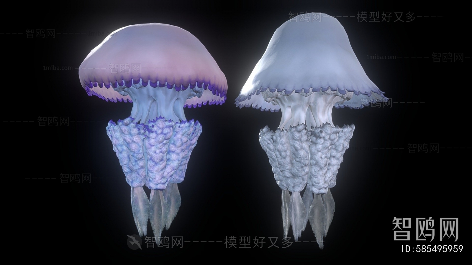 Modern Aquatic Animals